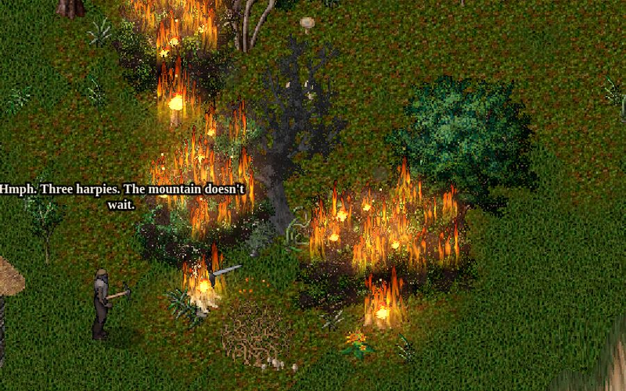 Fire running through the pines after a fireball