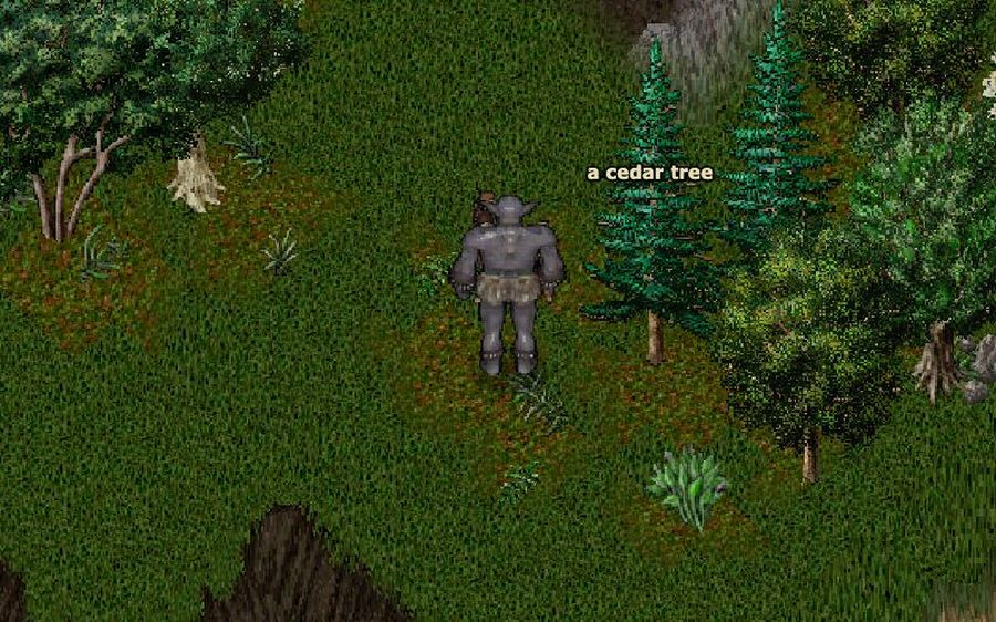 A troll at the edge of Minoc's guard zone