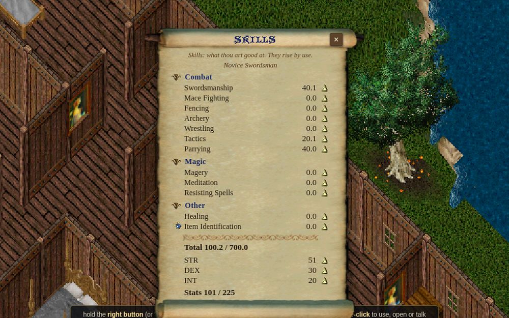 The skills window